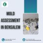 Expert Mold Assessment in Bensalem: Protect Your Home.