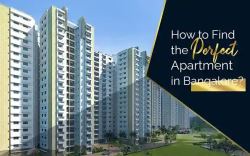 How to Find the Perfect Apartments in Bangalore?