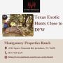 Texas Exotic Hunts