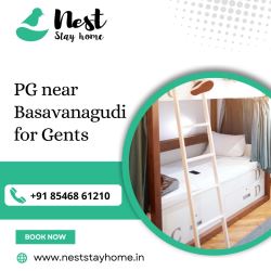 PG near Basavanagudi for Gents