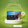 Canadavetcare 20% Off On Capstar For Dogs