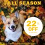 Biggest Fall savings now Flat 22% OFF Only at Canadavetcare!