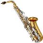 Alto Saxophones Musical Instrument For Sale At Qzwinds