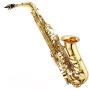 Jupiter JAS-500A Student Alto Sax Outfit Ready to Play