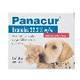 Panacur Worming Granules for Cats | BetVetCare