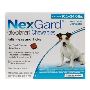 Shop Nexgard Chewables for Medium Dogs 10.1-24 lbs (Blue) 