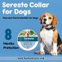 Seresto Collar for Dogs – 8-Month Flea & Tick Prevention