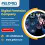 Digital Forensics Company