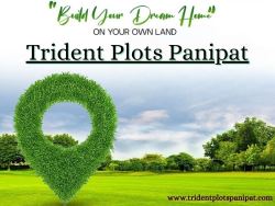 Trident Panipat - Explore Our New Premium Plots In Prime Loc