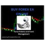 PROFESSIONAL FOREX FUND MANAGEMENT