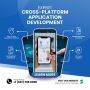 Expert Cross-Platform Application Development to Expand Reac