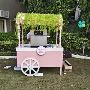 Ice Cream Catering in Delhi