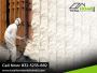 Protect Your Home with Premium Foam Insulation