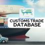 Customs Data for Smarter Business Decisions