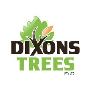 Comprehensive Tree Care from Dixon Tree Service