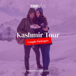 6 best kashmir packages for couple