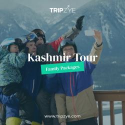 kashmir packages for family