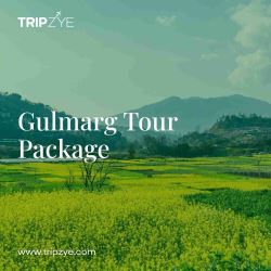 gulmarg kashmir tour package