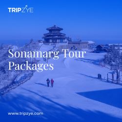 sonamarg tour packages