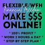 Earn Big by Working 2 Hrs a Day! Flexible WFH! Daily Pay!